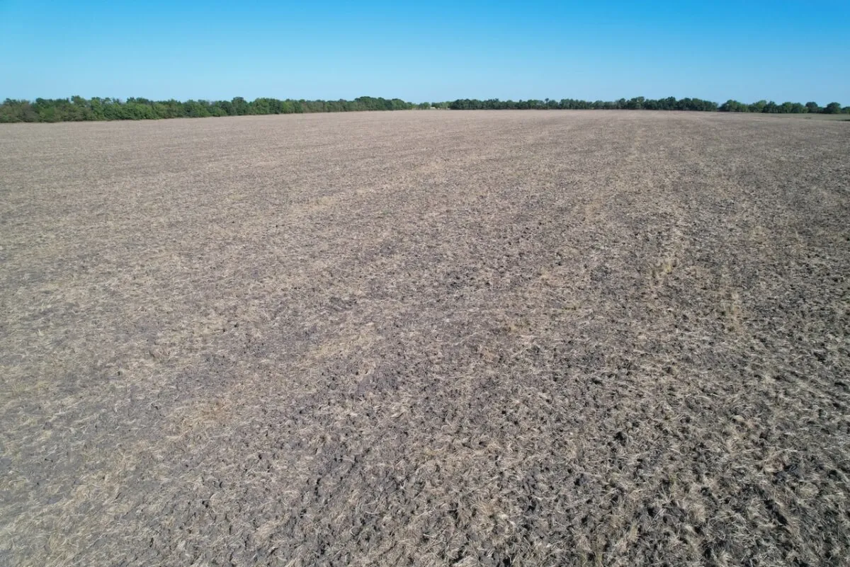 80 Acres Northeast Sedgwick County, Kansas Tillable Farm Ground photo 6