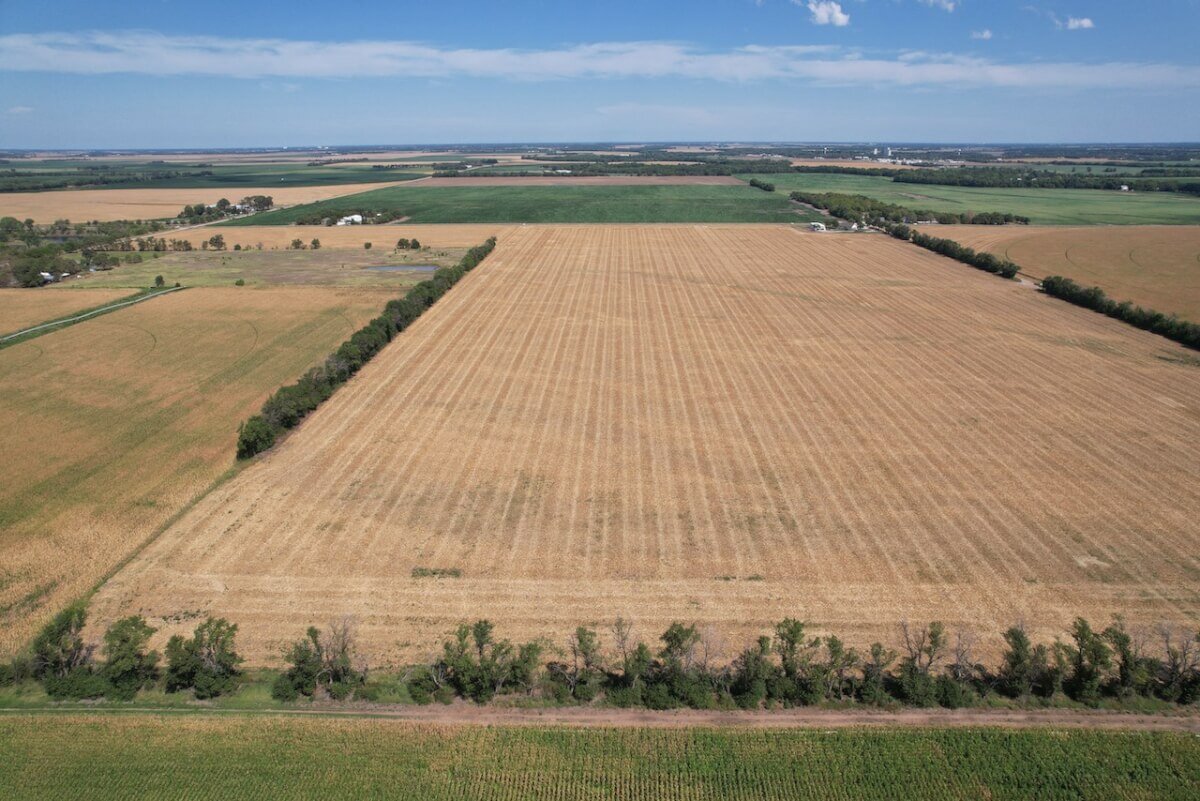 40 Acres Sedgwick County, Kansas Tillable Farm Ground between Wichita & Sedgwick photo 2