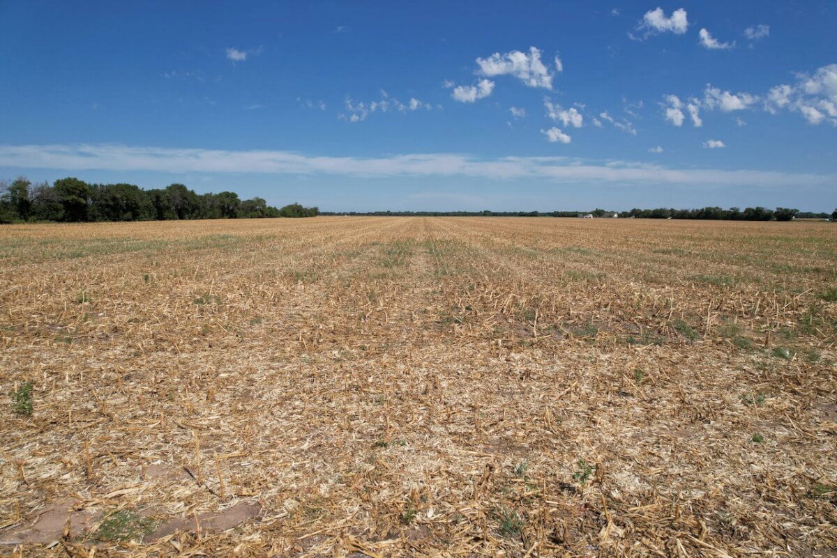 40 Acres Sedgwick County, Kansas Tillable Farm Ground between Wichita & Sedgwick photo 3