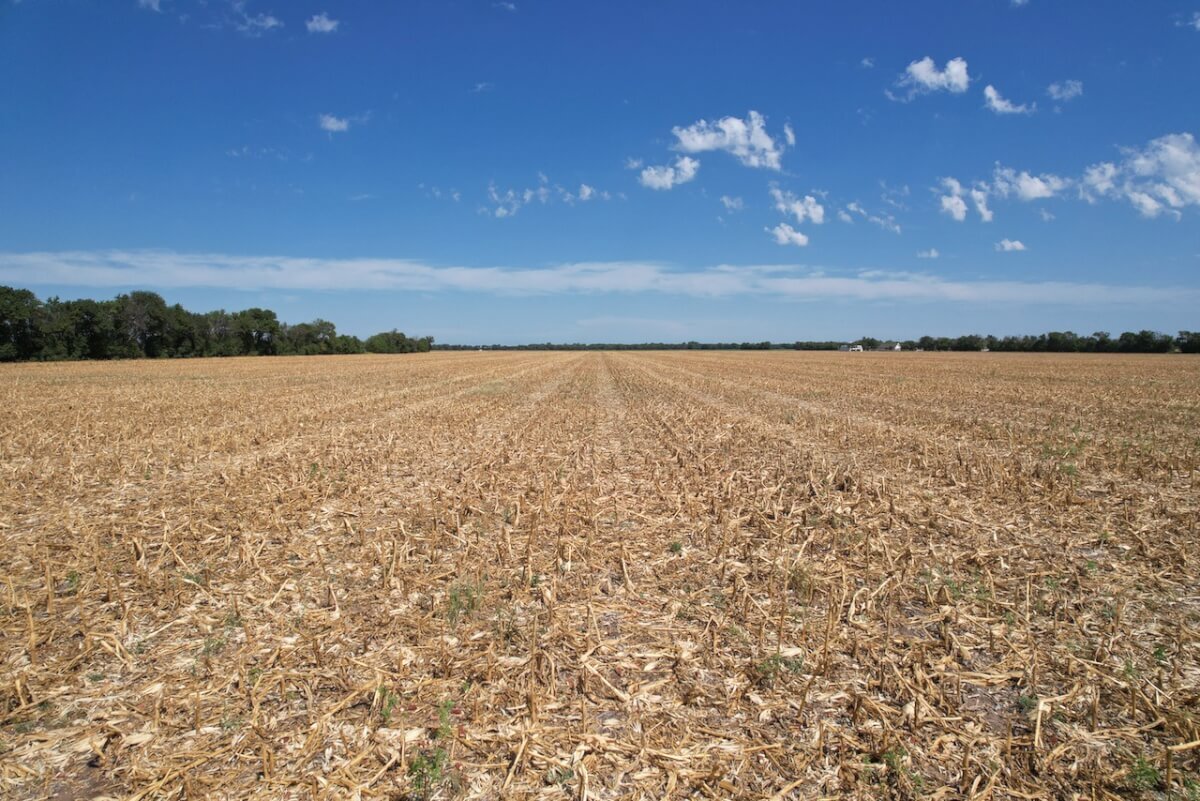 40 Acres Sedgwick County, Kansas Tillable Farm Ground between Wichita & Sedgwick photo 4