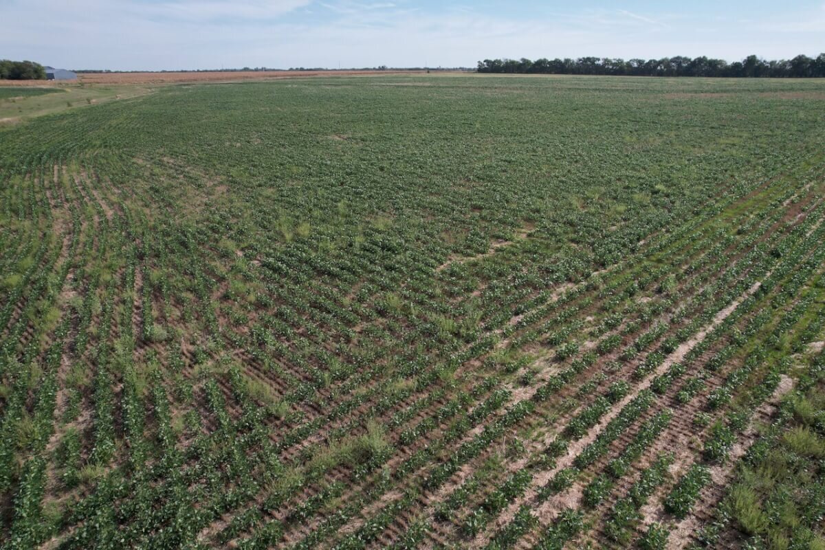 60 Acres Marion County, Kansas Tillable Farm Ground Land For Sale North of Peabody photo 3