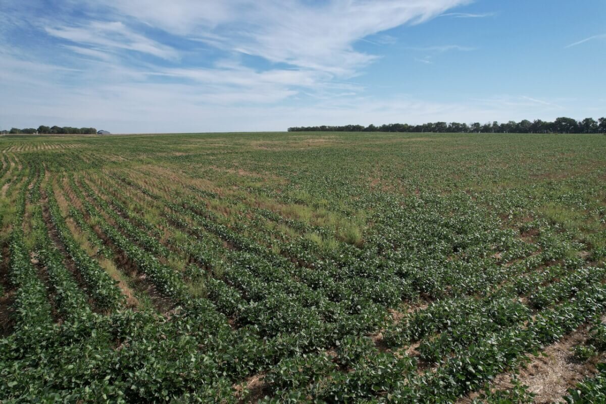 60 Acres Marion County, Kansas Tillable Farm Ground Land For Sale North of Peabody photo 4
