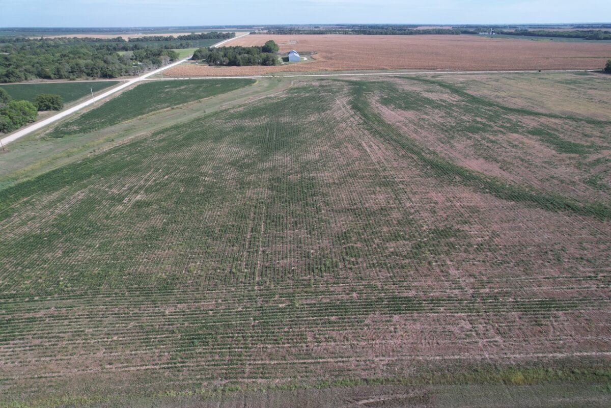 60 Acres Marion County, Kansas Tillable Farm Ground Land For Sale North of Peabody photo 5