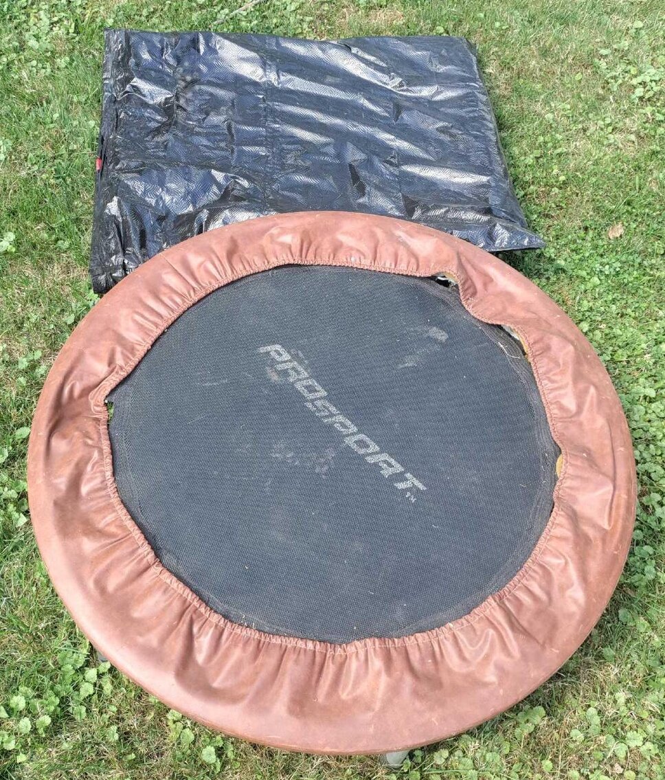 Image for Outdoor Items, Tools, Household, Glass, Lawn Mower, Appliances, Clock Parts/Tools, Toys (Locust)