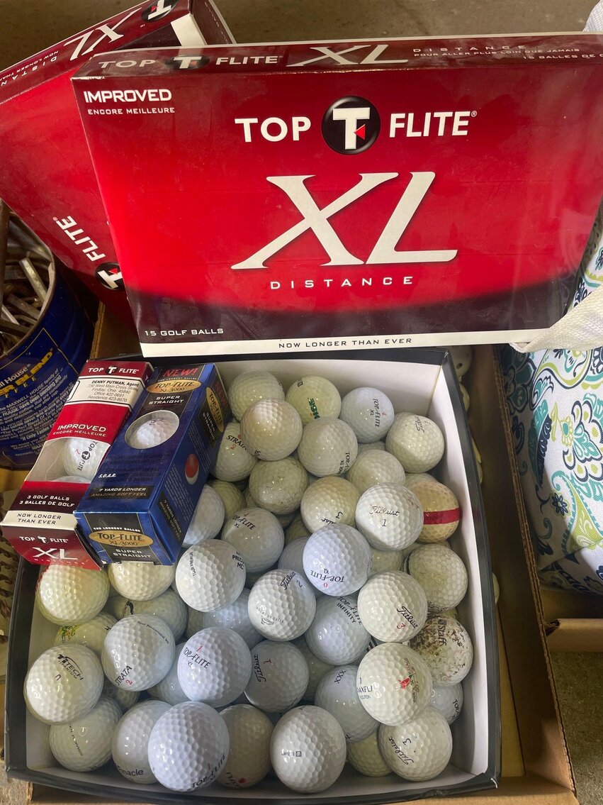 Image for Outdoor Items, Tools, Household, Glass, Lawn Mower, Appliances, Clock Parts/Tools, Toys (Locust)