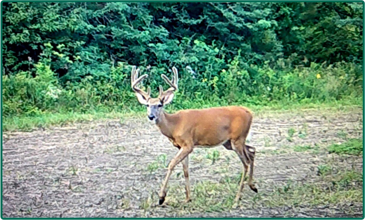 Image for Closed - Clarke Co., IA - 99.40 Ac., m/l (000-3839-01)