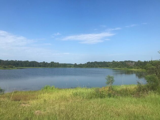 Image for LIVE AUCTION: Thursday, October 13, 2022 - Laurens County, GA