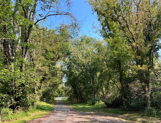 Image for Rockbridge County, VA Sale of Tax Delinquent Real Estate