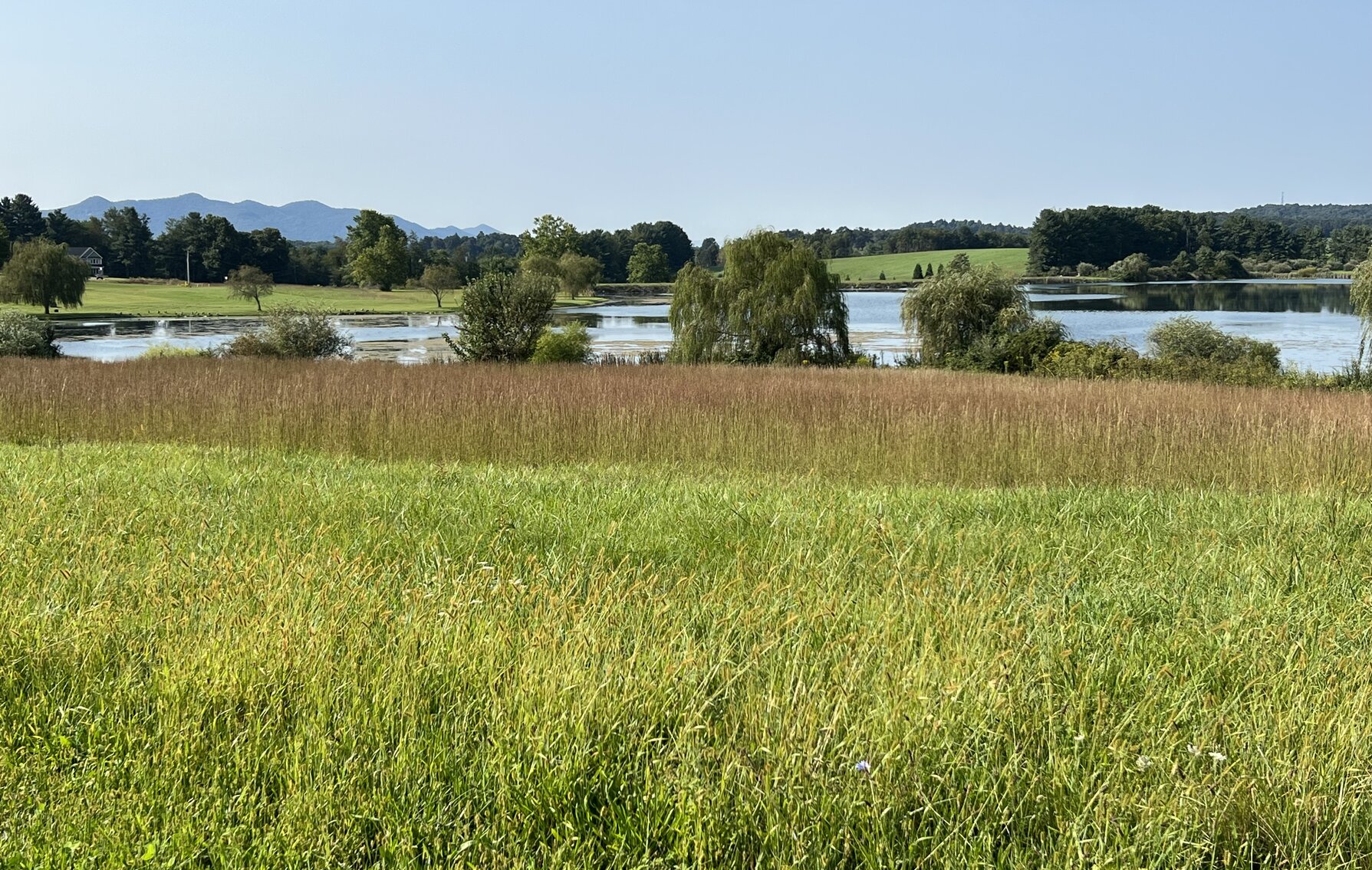 Image for Rockbridge County, VA Sale of Tax Delinquent Real Estate