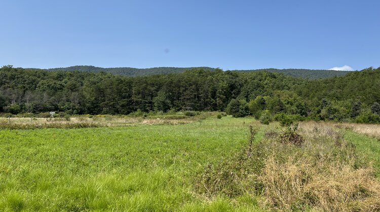 Image for Rockbridge County, VA Sale of Tax Delinquent Real Estate