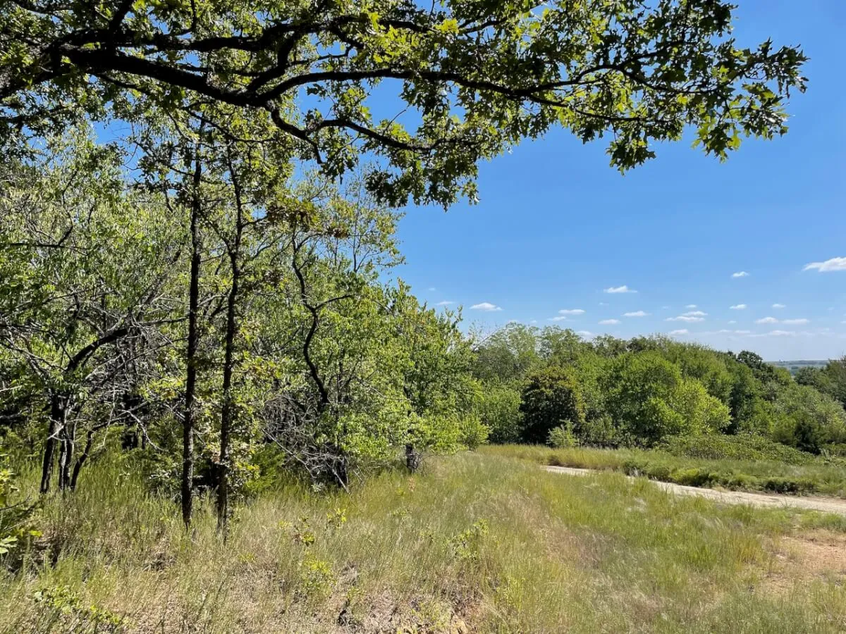 34.5 Acres Montgomery County, Kansas Land For Sale – Pond, Big Hills, Heavy Timber, Oil Income photo 2