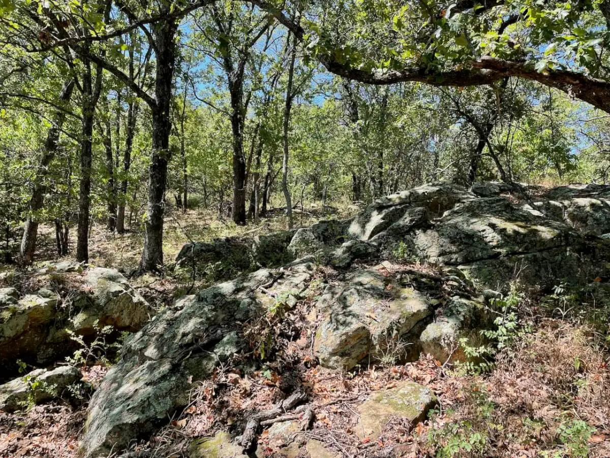 34.5 Acres Montgomery County, Kansas Land For Sale – Pond, Big Hills, Heavy Timber, Oil Income photo 4