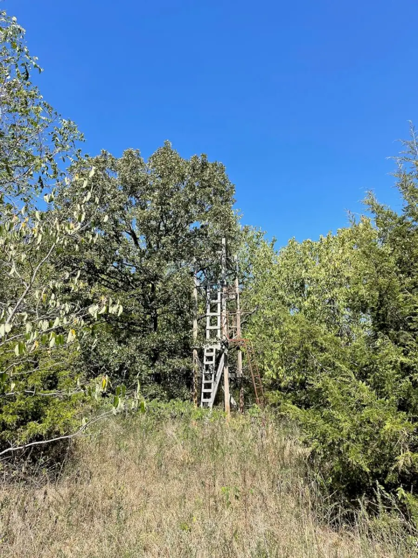 34.5 Acres Montgomery County, Kansas Land For Sale – Pond, Big Hills, Heavy Timber, Oil Income photo 5