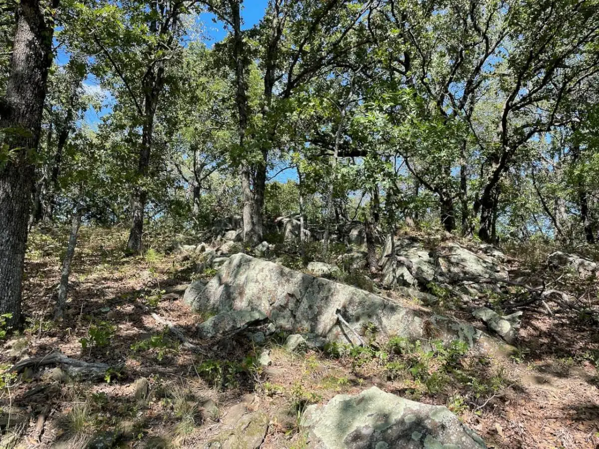 34.5 Acres Montgomery County, Kansas Land For Sale – Pond, Big Hills, Heavy Timber, Oil Income photo 6