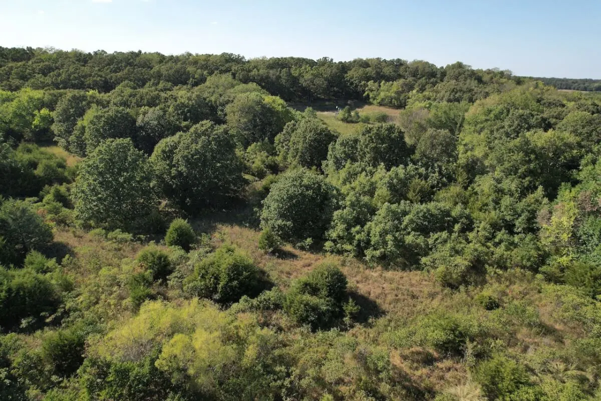 34.5 Acres Montgomery County, Kansas Land For Sale – Pond, Big Hills, Heavy Timber, Oil Income photo 7