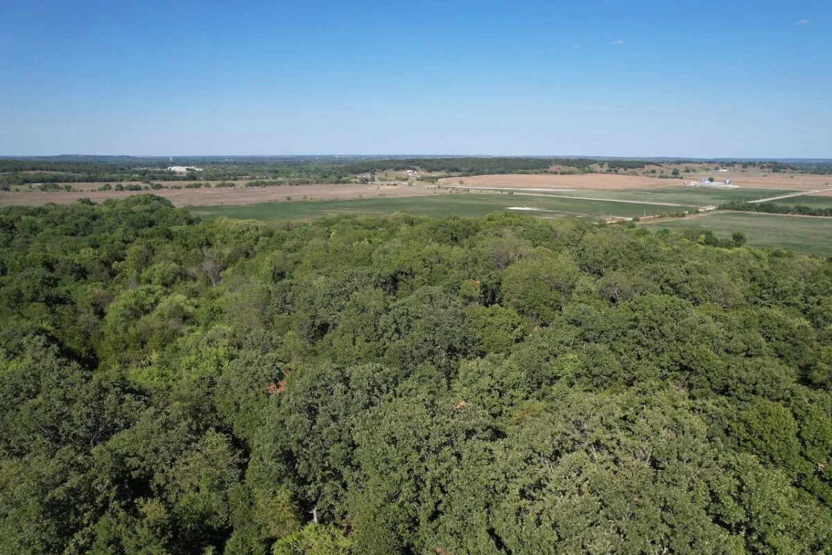34.5 Acres Montgomery County, Kansas Land For Sale – Pond, Big Hills, Heavy Timber, Oil Income photo 8