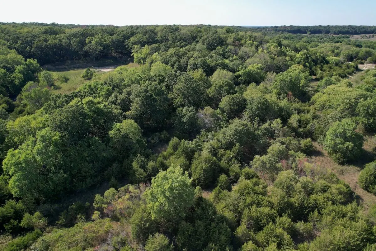 34.5 Acres Montgomery County, Kansas Land For Sale – Pond, Big Hills, Heavy Timber, Oil Income photo 9