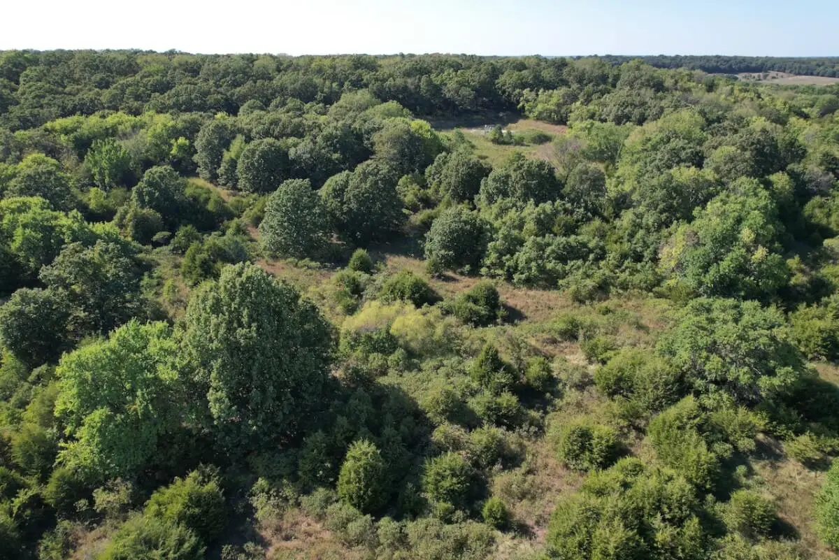 34.5 Acres Montgomery County, Kansas Land For Sale – Pond, Big Hills, Heavy Timber, Oil Income photo 10