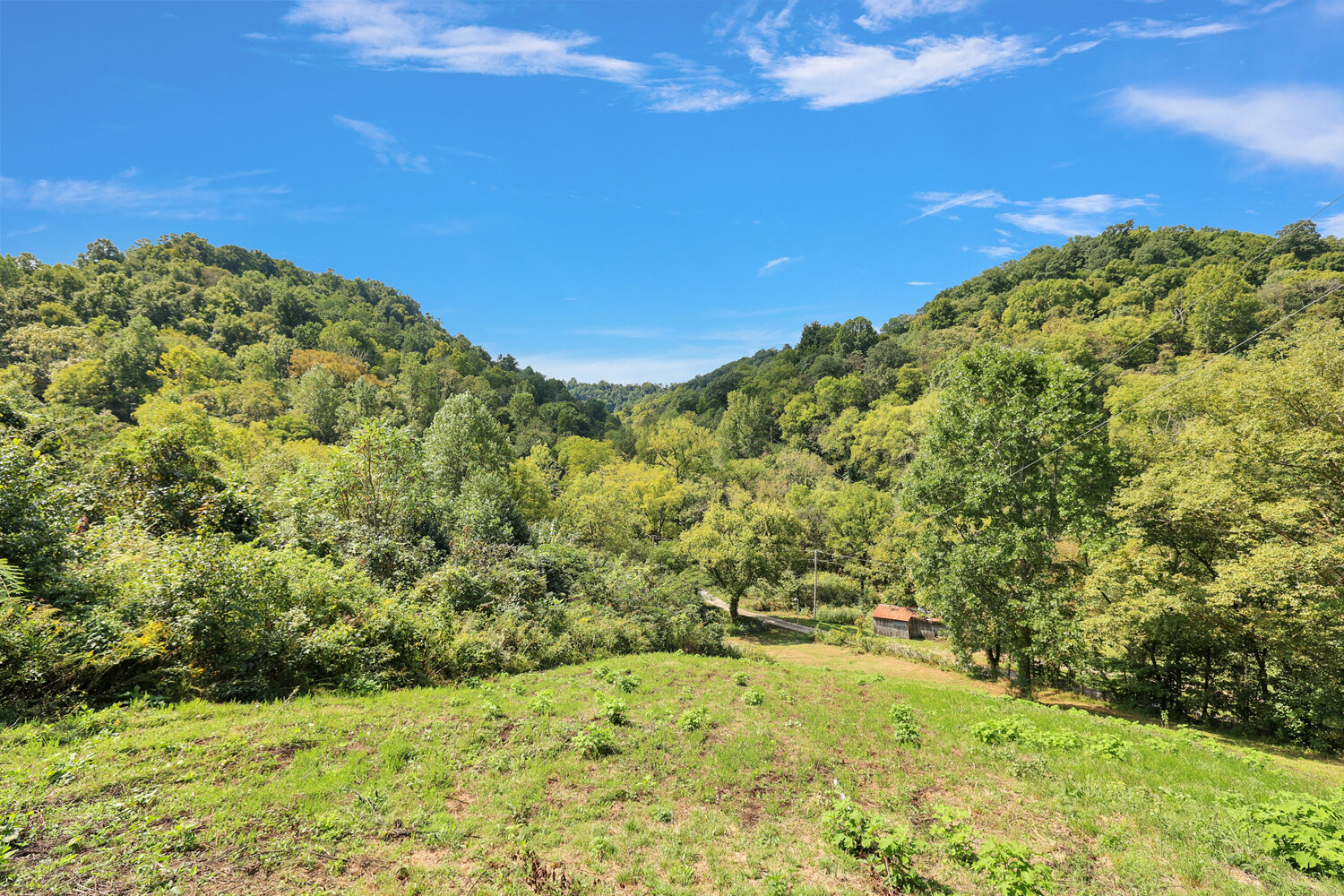 Image for 49 Duck Hollow Road, Elmwood