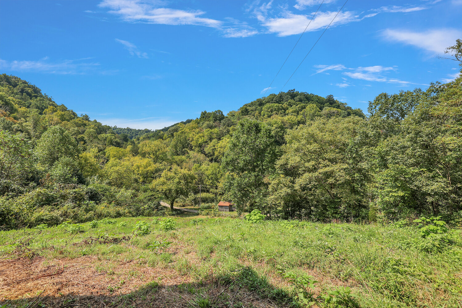 Image for 49 Duck Hollow Road, Elmwood