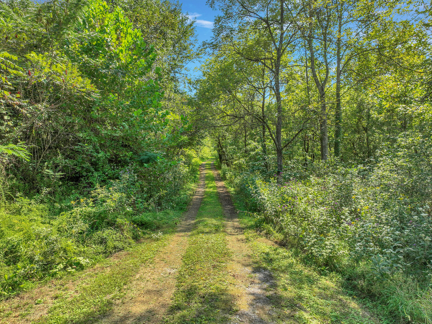Image for 49 Duck Hollow Road, Elmwood
