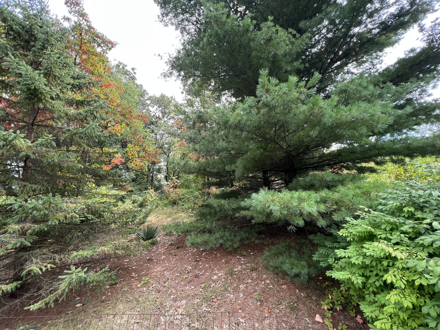 Image for 11155 Sager Road, Swanton, Ohio 43558