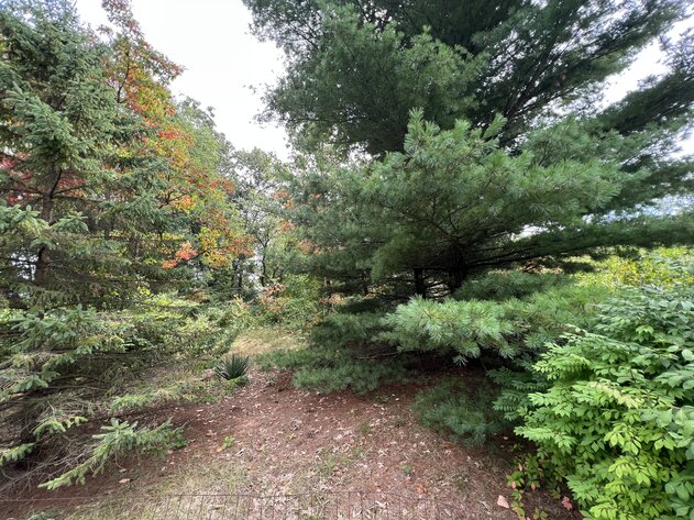 Image for 11155 Sager Road, Swanton, Ohio 43558