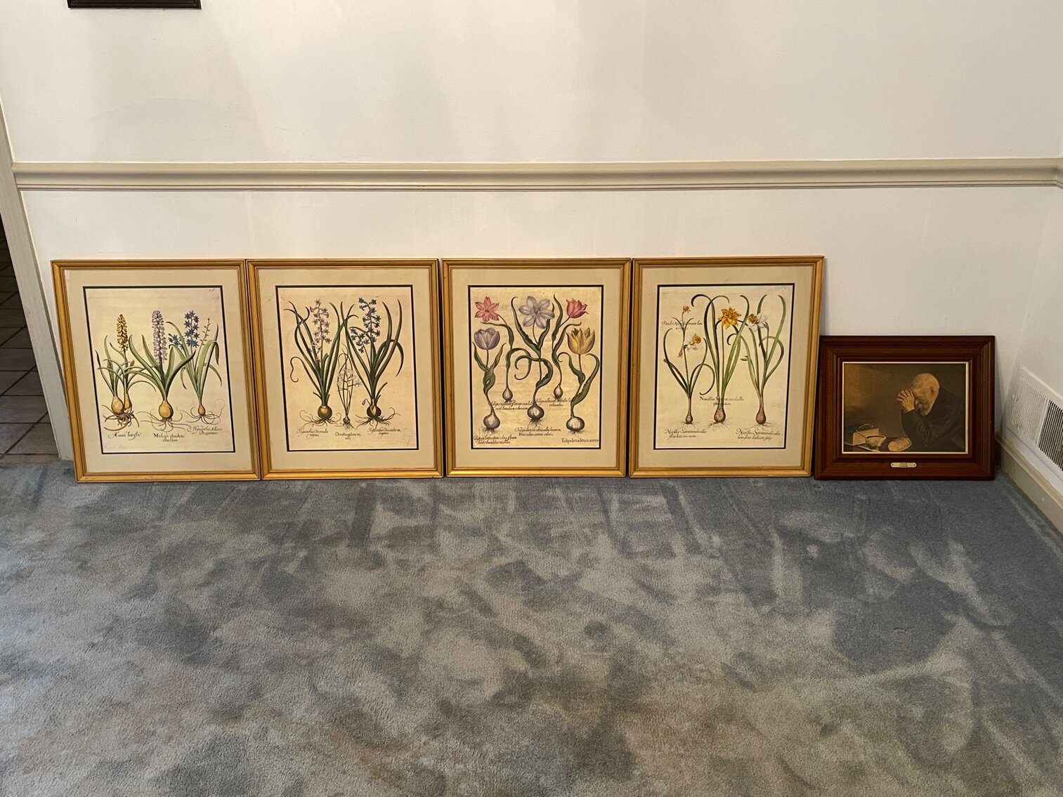 Framed Prints
