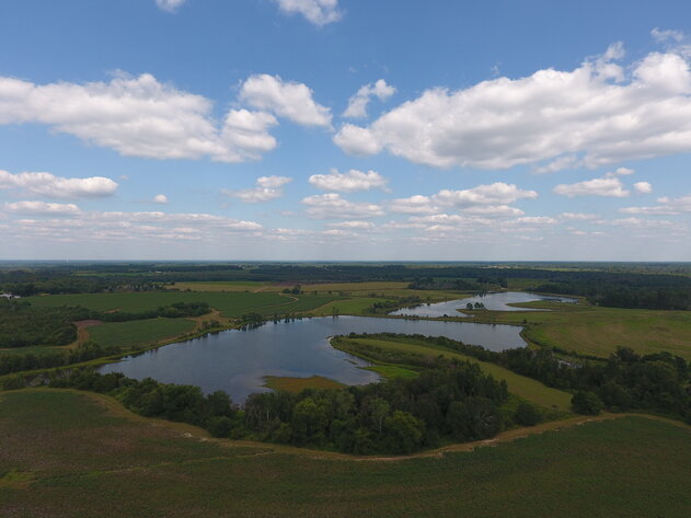 Image for LIVE AUCTION: Thursday, October 13, 2022 - Laurens County, GA