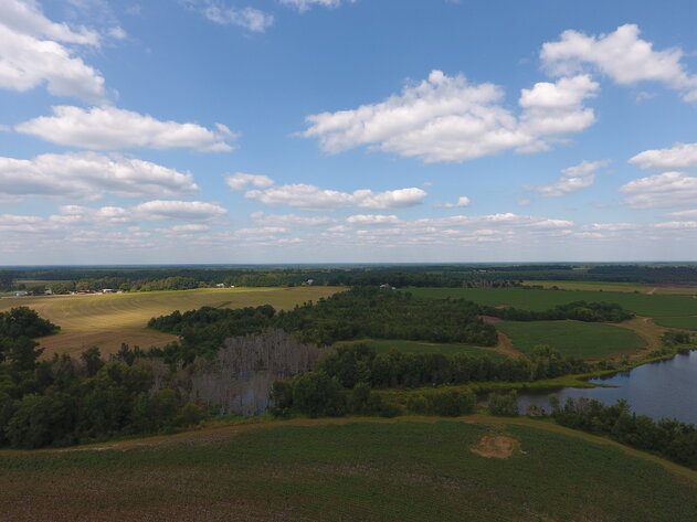 Image for LIVE AUCTION: Thursday, October 13, 2022 - Laurens County, GA