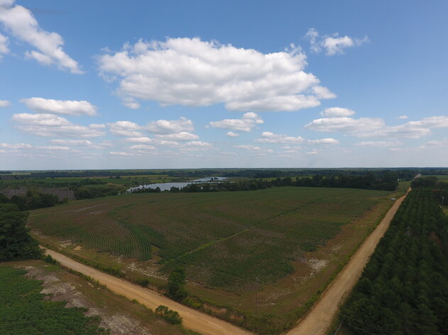 Image for LIVE AUCTION: Thursday, October 13, 2022 - Laurens County, GA