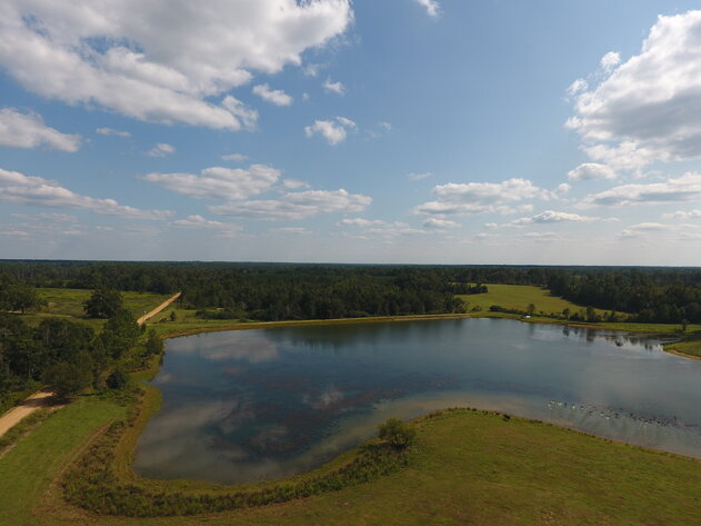 Image for LIVE AUCTION: Thursday, October 13, 2022 - Laurens County, GA