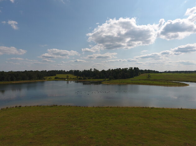 Image for LIVE AUCTION: Thursday, October 13, 2022 - Laurens County, GA