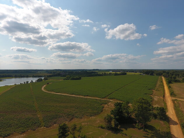 Image for LIVE AUCTION: Thursday, October 13, 2022 - Laurens County, GA