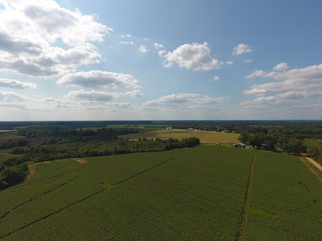 Image for LIVE AUCTION: Thursday, October 13, 2022 - Laurens County, GA