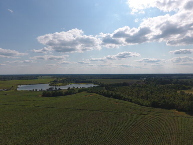 Image for LIVE AUCTION: Thursday, October 13, 2022 - Laurens County, GA