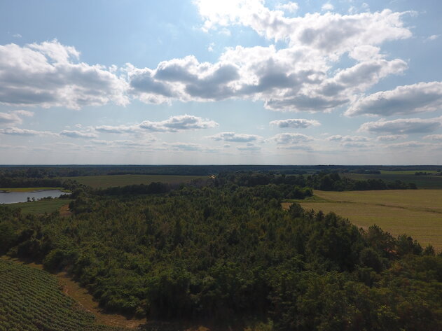 Image for LIVE AUCTION: Thursday, October 13, 2022 - Laurens County, GA