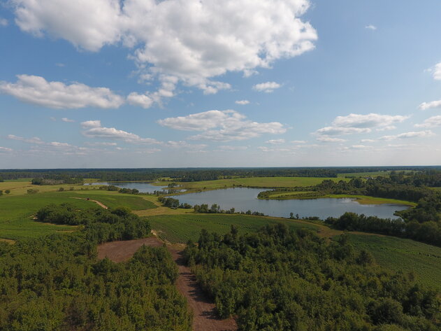 Image for LIVE AUCTION: Thursday, October 13, 2022 - Laurens County, GA