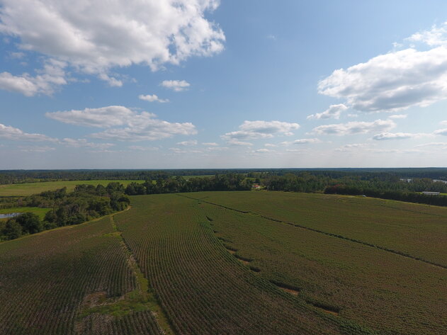 Image for LIVE AUCTION: Thursday, October 13, 2022 - Laurens County, GA