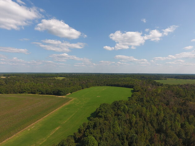 Image for LIVE AUCTION: Thursday, October 13, 2022 - Laurens County, GA