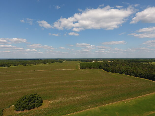 Image for LIVE AUCTION: Thursday, October 13, 2022 - Laurens County, GA