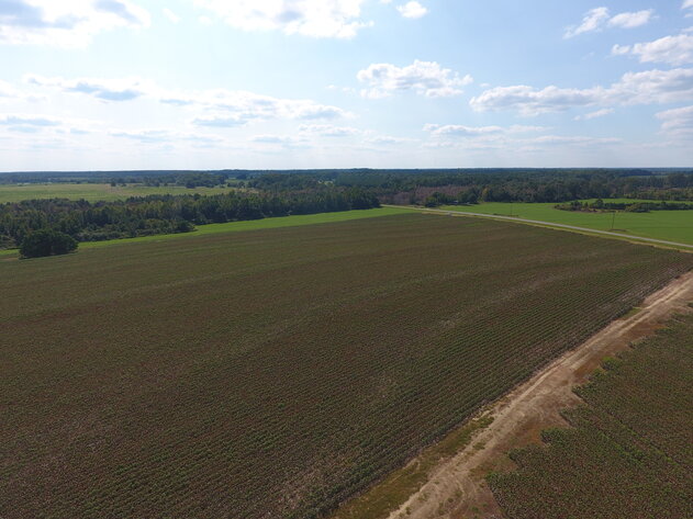 Image for LIVE AUCTION: Thursday, October 13, 2022 - Laurens County, GA