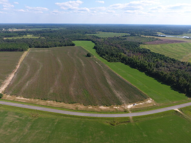 Image for LIVE AUCTION: Thursday, October 13, 2022 - Laurens County, GA