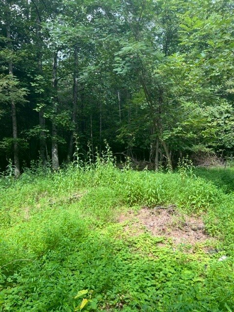 Image for Absolute Real Estate Auctions - 3 Properties in Mount Airy, NC