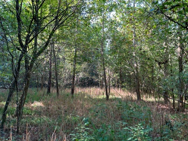 Image for Absolute Real Estate Auctions - 3 Properties in Mount Airy, NC