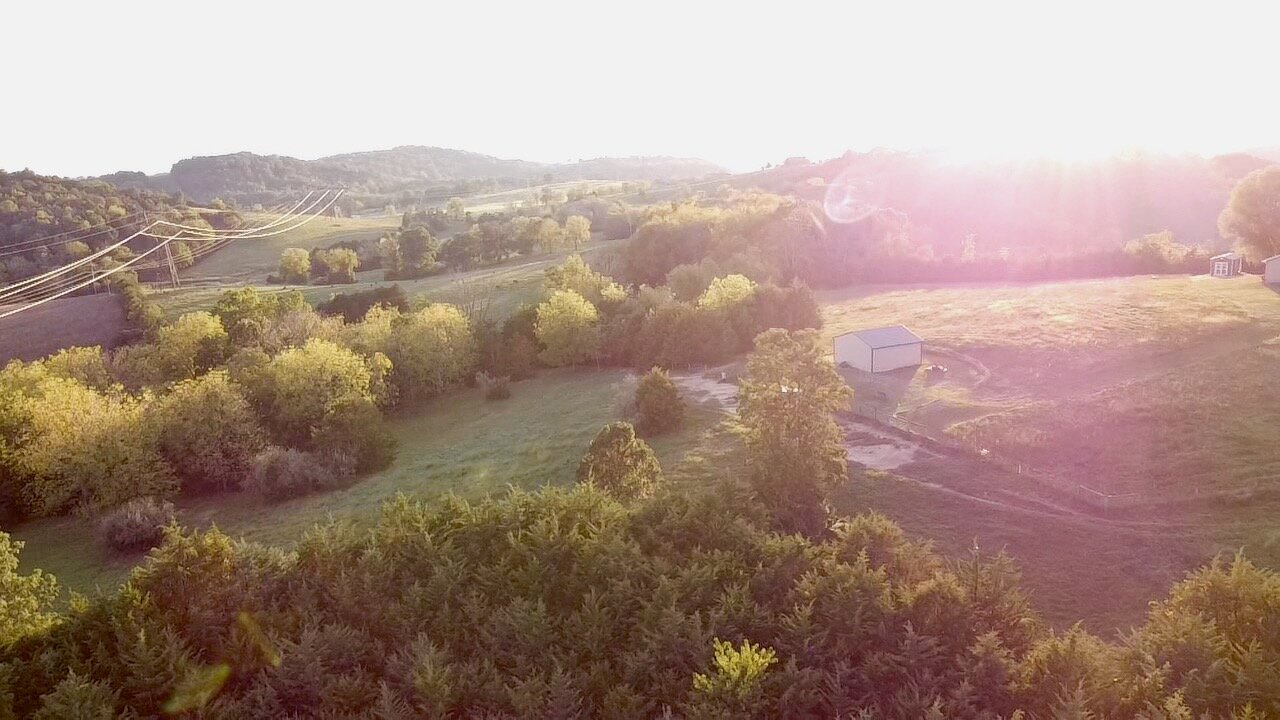 Image for 2 BR/2 BA Home on 138.8 +/- Acres w/Detached Garage/1 BR/1 BA Cottage, Barn, Pond, Majestic Mountain Views & More--Augusta County, VA