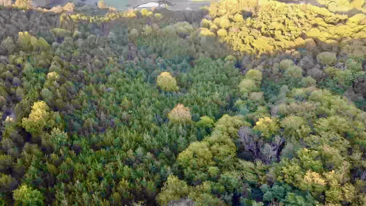 Image for 2 BR/2 BA Home on 138.8 +/- Acres w/Detached Garage/1 BR/1 BA Cottage, Barn, Pond, Majestic Mountain Views & More--Augusta County, VA