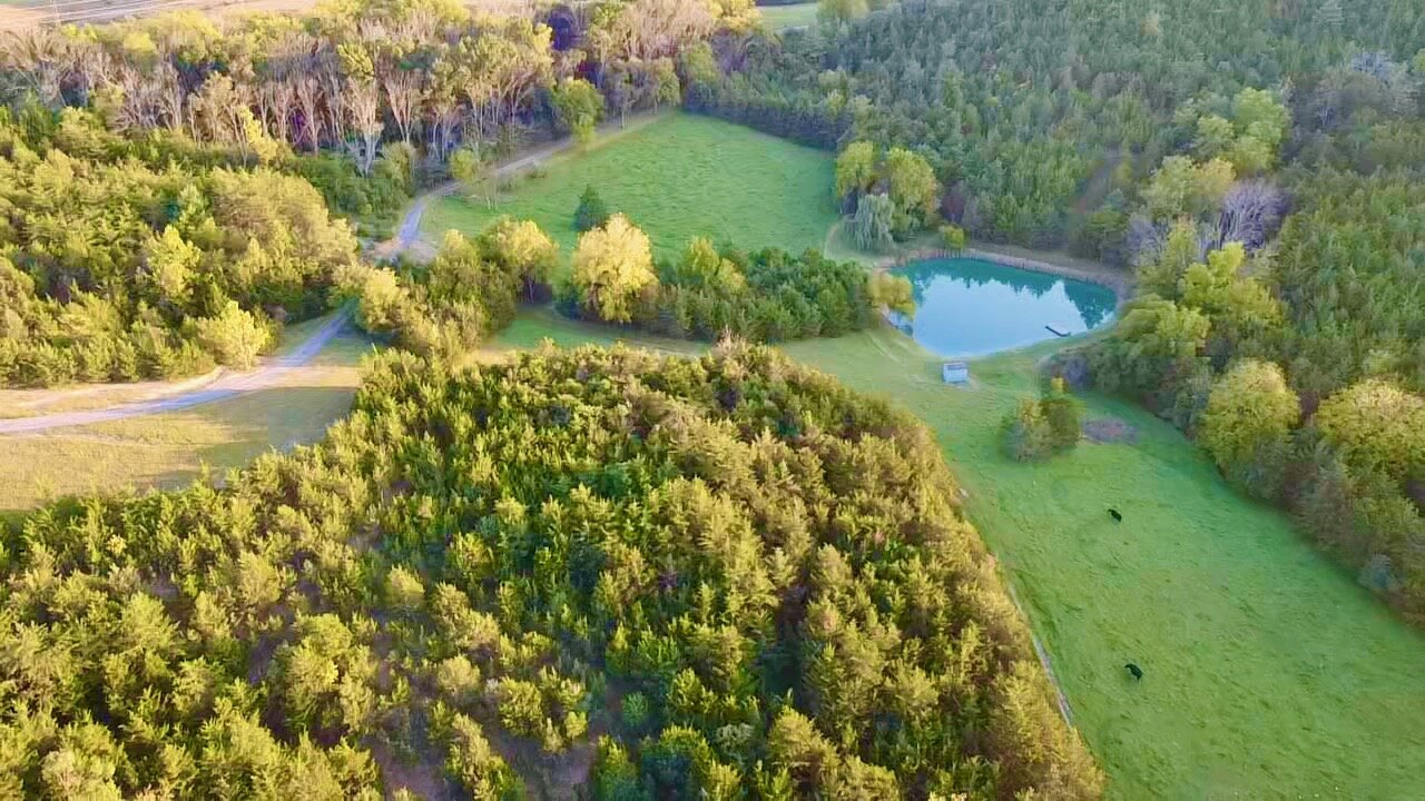 Image for 2 BR/2 BA Home on 138.8 +/- Acres w/Detached Garage/1 BR/1 BA Cottage, Barn, Pond, Majestic Mountain Views & More--Augusta County, VA