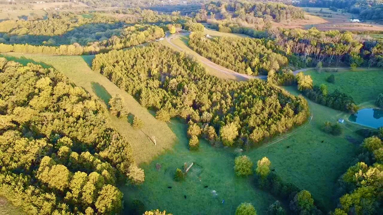 Image for 2 BR/2 BA Home on 138.8 +/- Acres w/Detached Garage/1 BR/1 BA Cottage, Barn, Pond, Majestic Mountain Views & More--Augusta County, VA