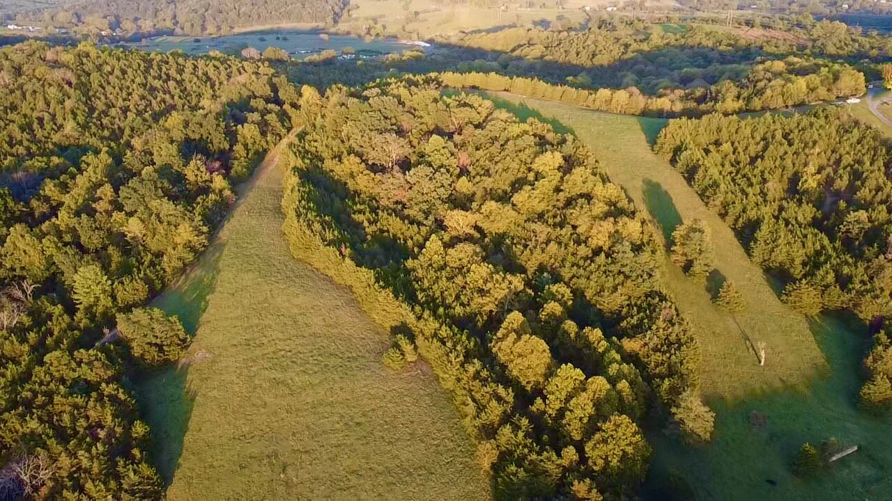 Image for 2 BR/2 BA Home on 138.8 +/- Acres w/Detached Garage/1 BR/1 BA Cottage, Barn, Pond, Majestic Mountain Views & More--Augusta County, VA